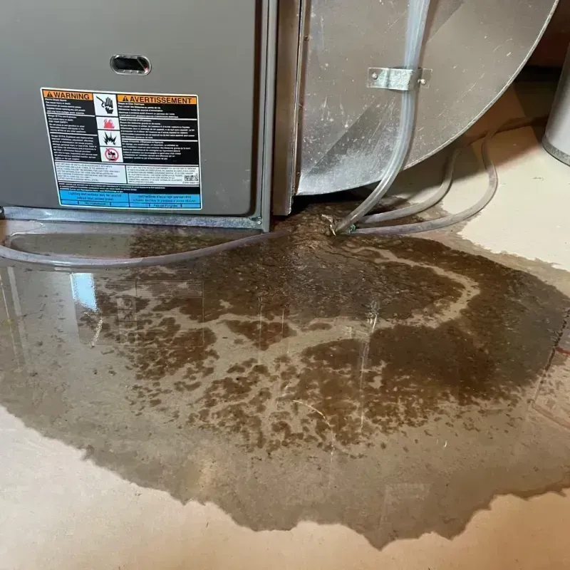 Appliance Leak Cleanup in Glenview, IL